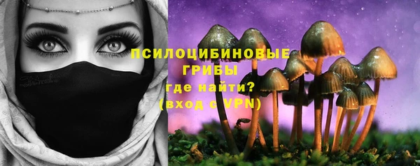 PSILOCYBIN Алексин