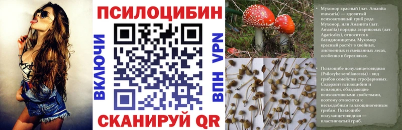 Псилоцибиновые грибы Magic Shrooms  закладка  Удачный 
